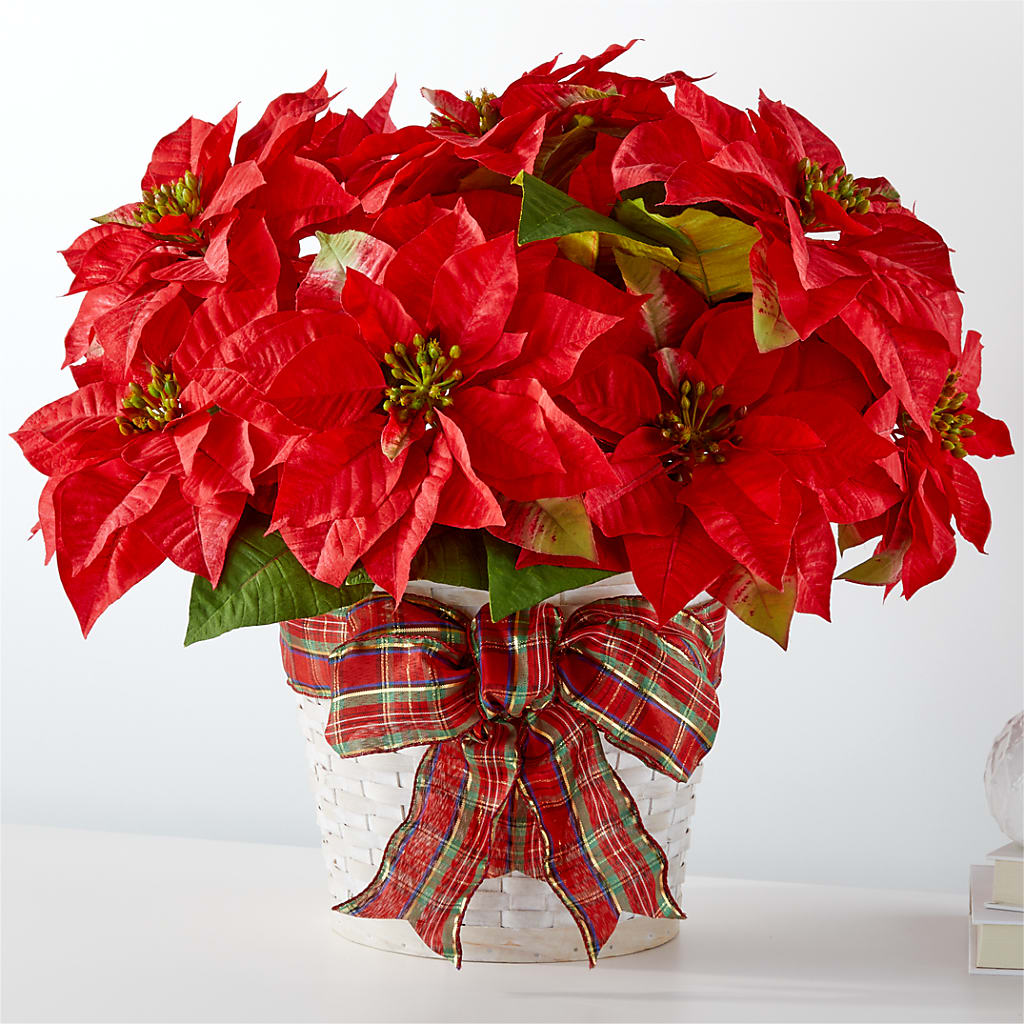 Happiest Holidays Poinsettia – MR D'S, Lander WY