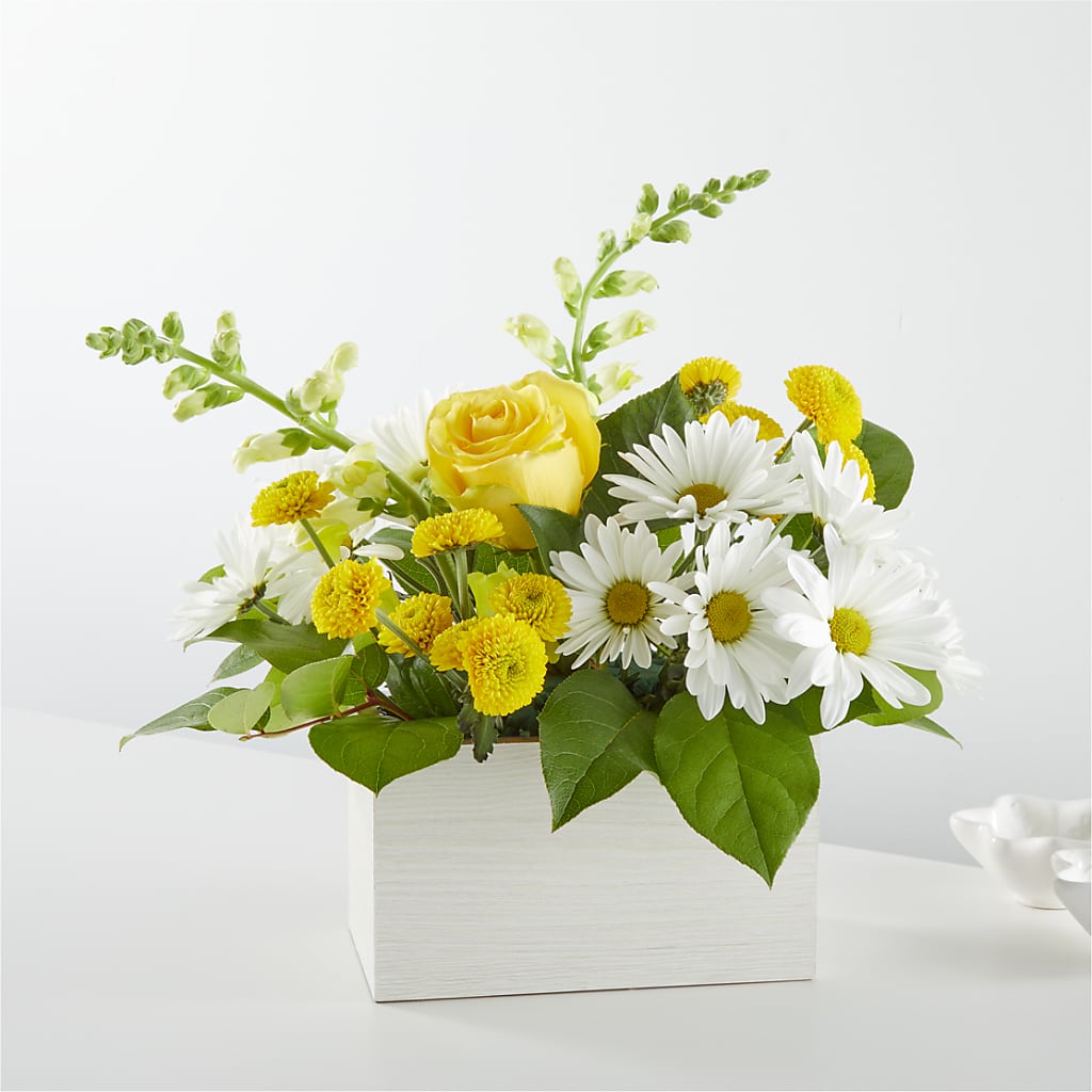 Sun Salutation Box Bouquet – MR D'S, Lander WY