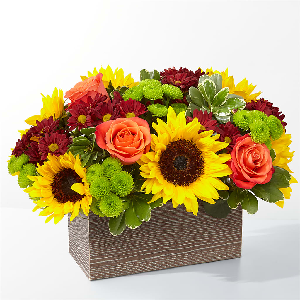 Happy Harvest Garden – MR D'S, Lander WY