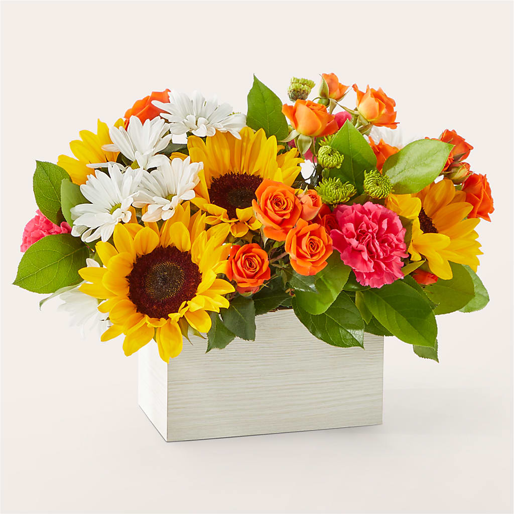 Sun-drenched Blooms Box Bouquet – MR D'S, Lander WY