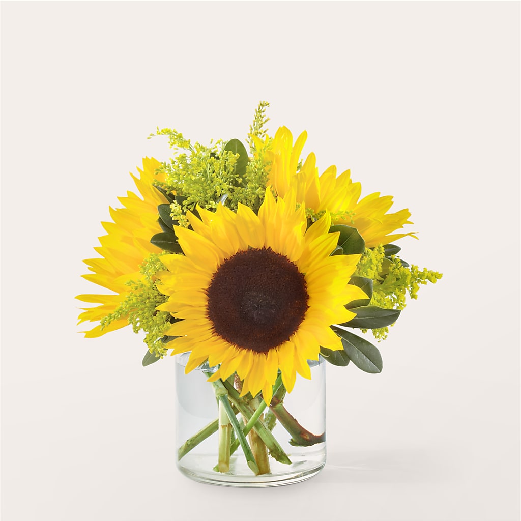 Beaming Sunflower Bouquet – MR D'S, Lander WY