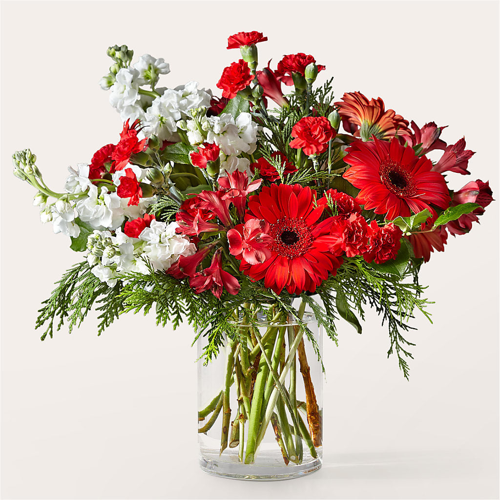 Holidaisy Bouquet – MR D'S, Lander WY
