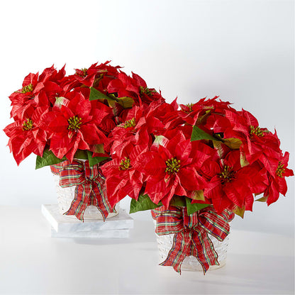 Happiest Holidays Poinsettia Bundle – MR D'S, Lander WY