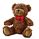 Adorable Plush Bear – MR D'S, Lander WY