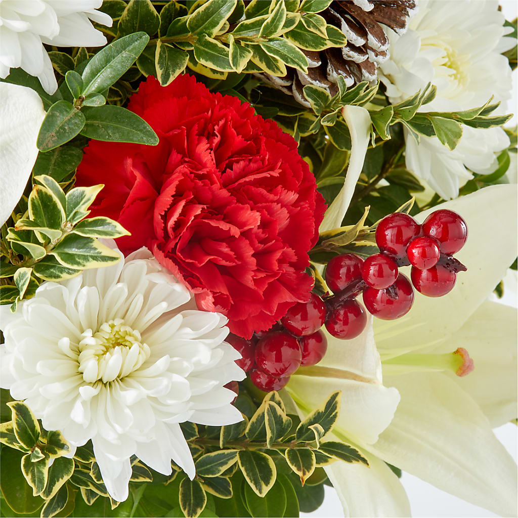 Festive Moments Tree – MR D'S, Lander WY