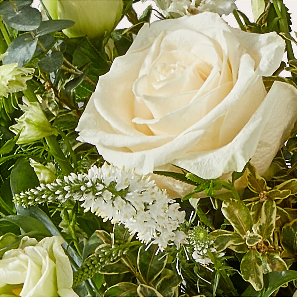 Cashmere Bouquet – MR D'S, Lander WY