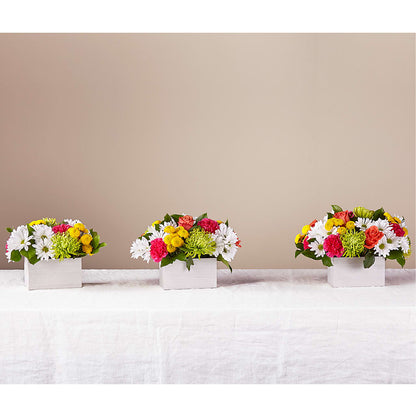 Sorbet Bouquet – MR D'S, Lander WY