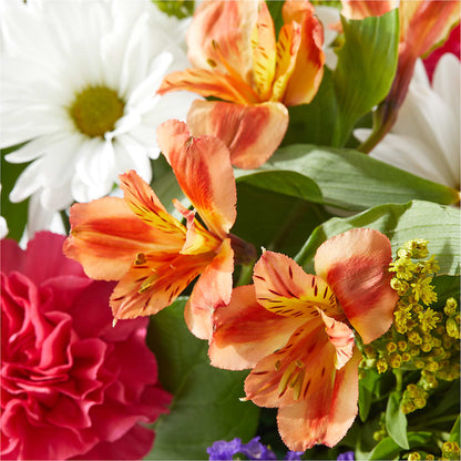 Oopsie Daisy Box Bouquet – MR D'S, Lander WY