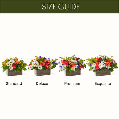 Oopsie Daisy Box Bouquet – MR D'S, Lander WY