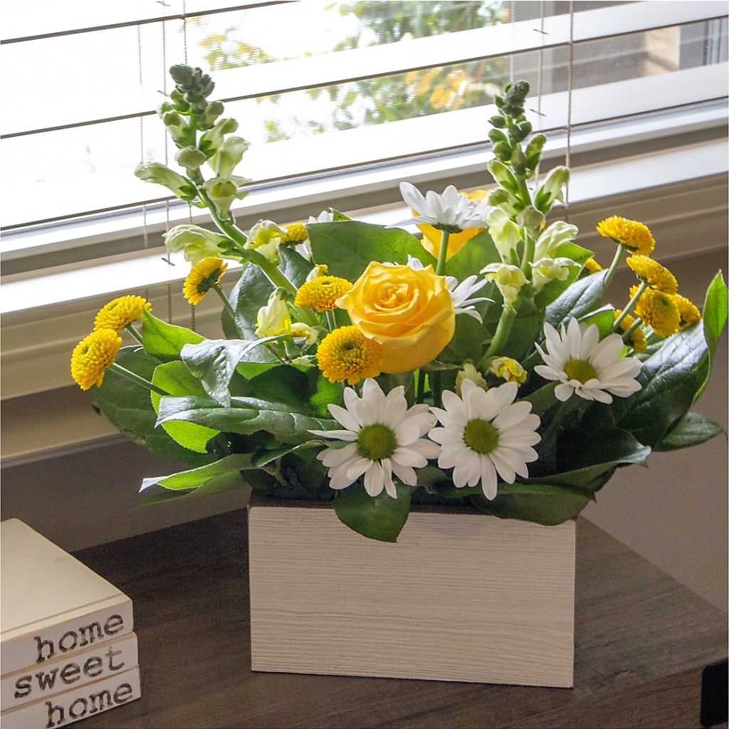Sun Salutation Box Bouquet – MR D'S, Lander WY
