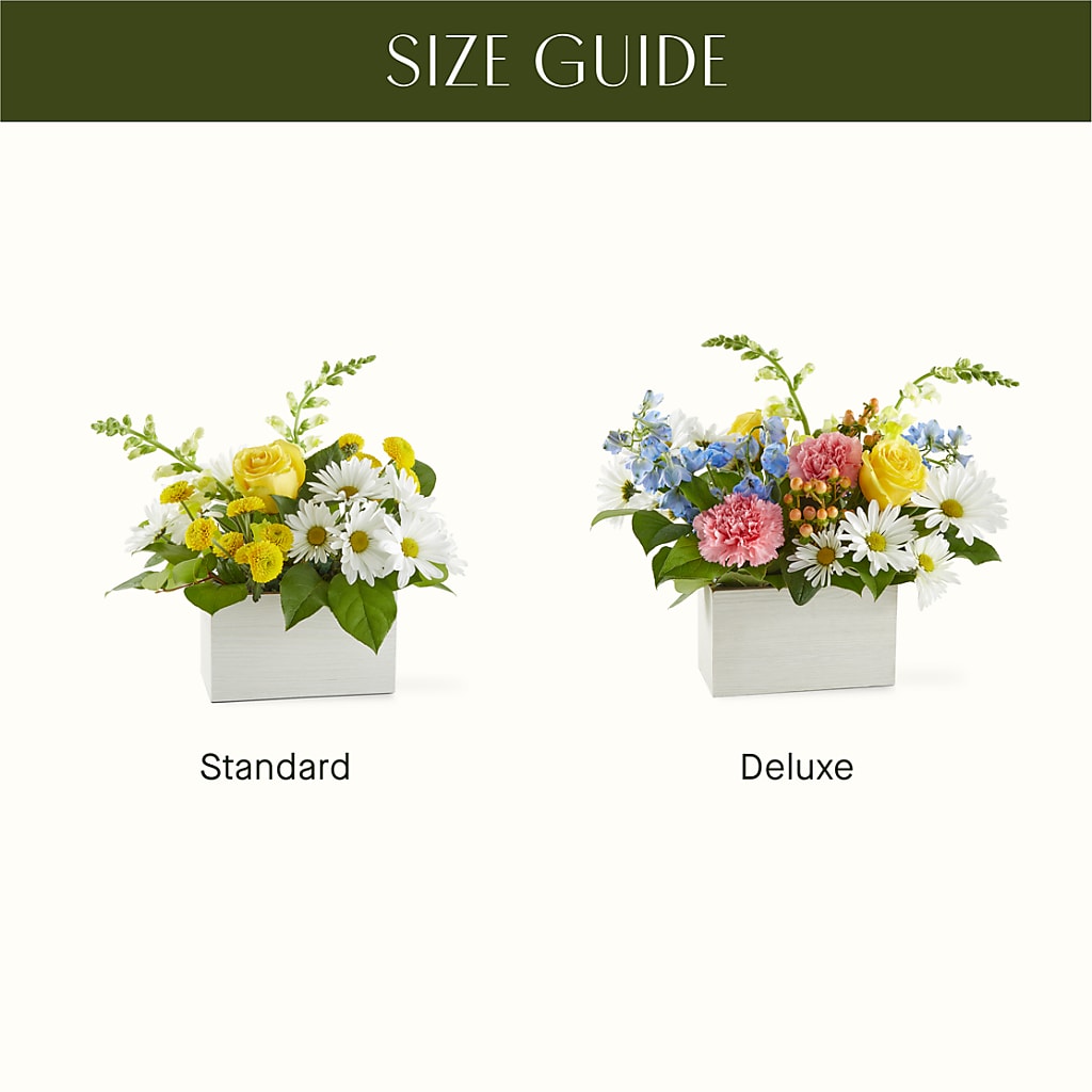 Sun Salutation Box Bouquet – MR D'S, Lander WY
