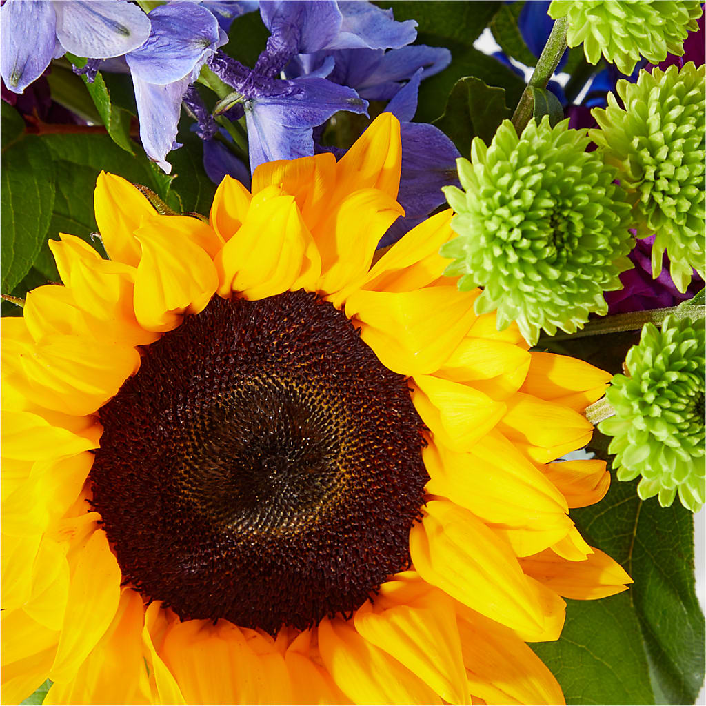 Catching Rays Bouquet – MR D'S, Lander WY