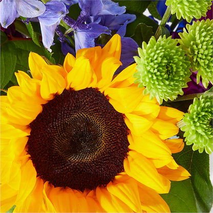 Catching Rays Bouquet – MR D'S, Lander WY