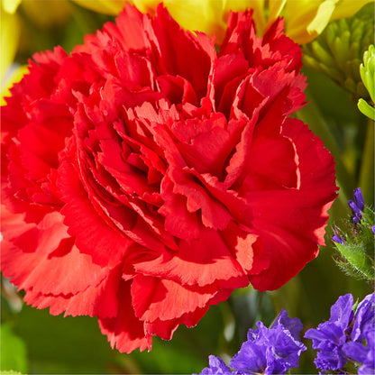 Brighter Days Bouquet – MR D'S, Lander WY