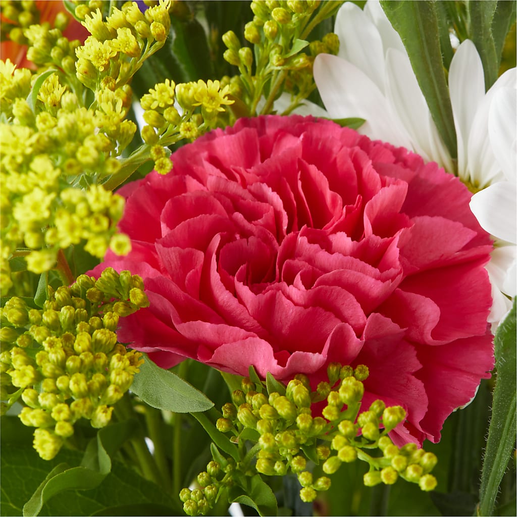 Oopsie Daisy Bouquet – MR D'S, Lander WY