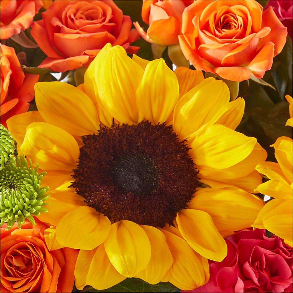 Sun-drenched Blooms Box Bouquet – MR D'S, Lander WY