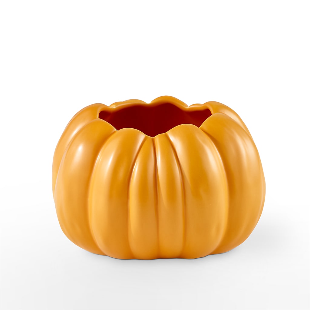 Pick of the Patch Pumpkin Bouquet – MR D'S, Lander WY