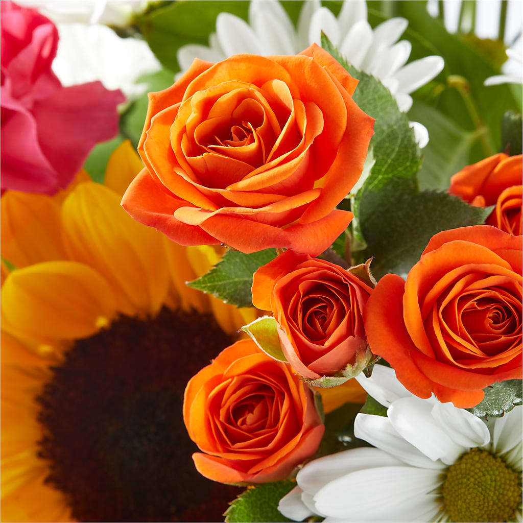 Sun-drenched Blooms Bouquet – MR D'S, Lander WY