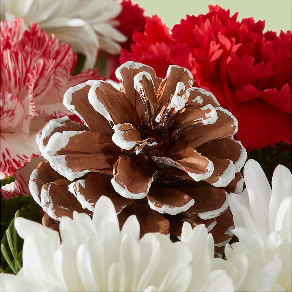 Candy Cane Lane Bouquet – MR D'S, Lander WY