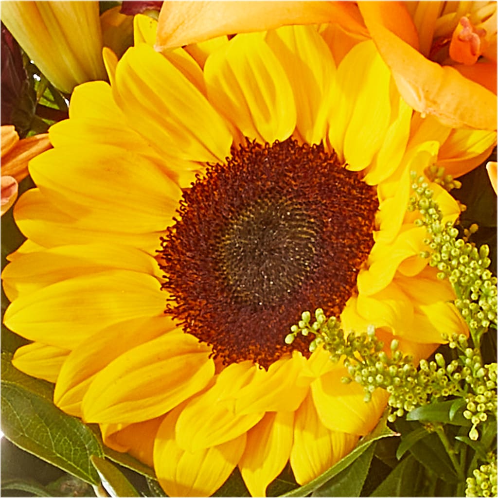Seasons Change Bouquet – MR D'S, Lander WY