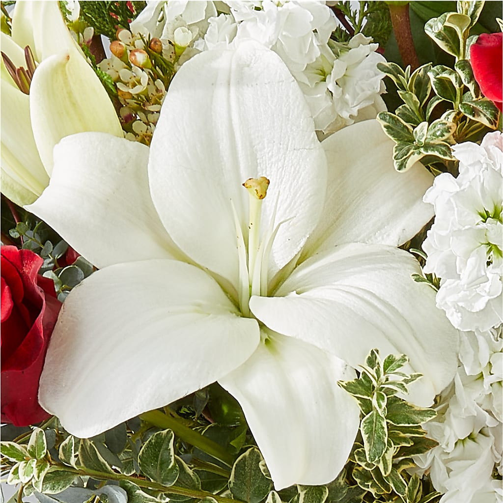 Twinkle Lights Bouquet – MR D'S, Lander WY