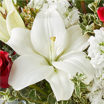 Twinkle Lights Bouquet – MR D'S, Lander WY