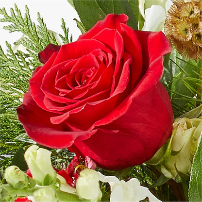 Deck the Halls Bouquet – MR D'S, Lander WY