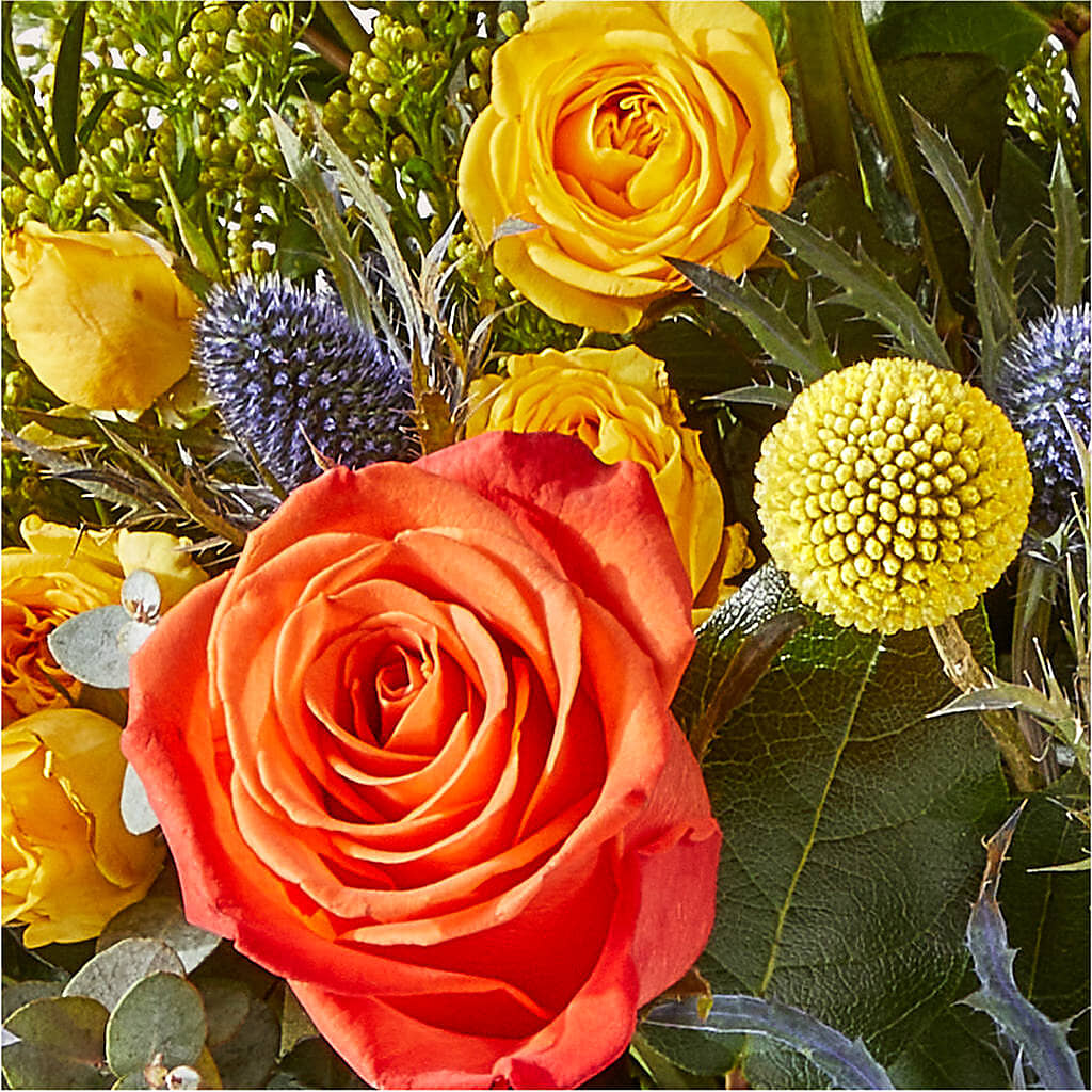 Disco Bouquet – MR D'S, Lander WY