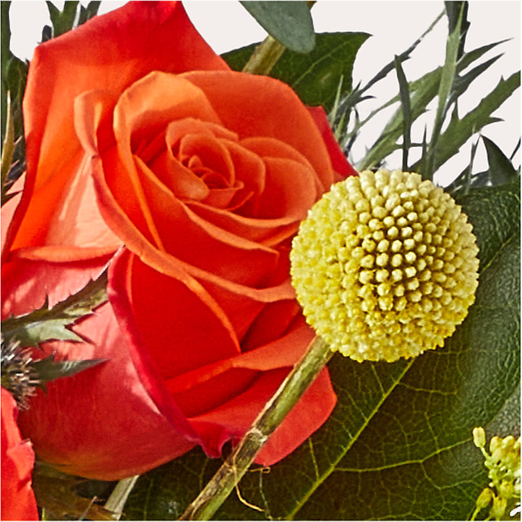 Disco Bouquet – MR D'S, Lander WY