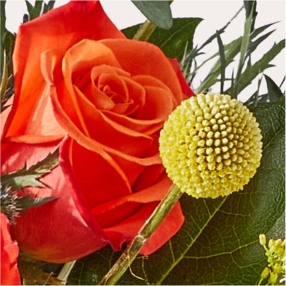 Disco Bouquet – MR D'S, Lander WY
