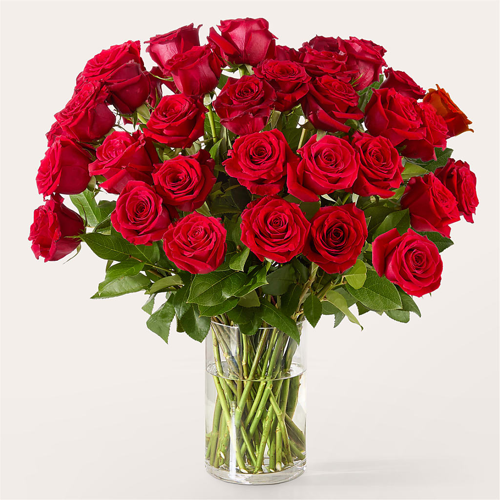 The One Red Rose Bouquet – MR D'S, Lander WY