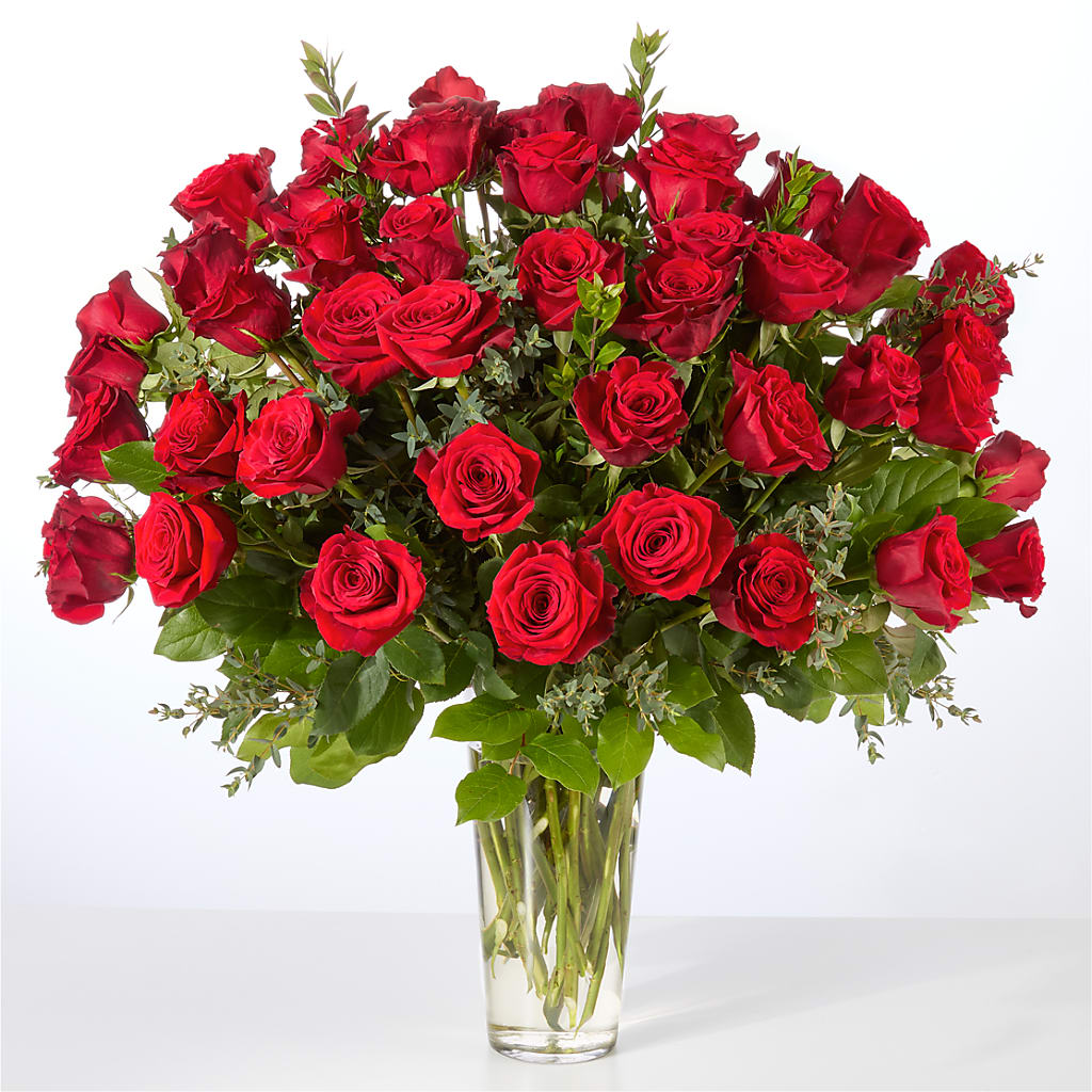 Forever Yours Fifty Stem Red Rose Bouquet – MR D'S, Lander WY